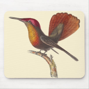 Alfombrilla De Ratón El colibrí de rubíes del Topaz - lección de Ren