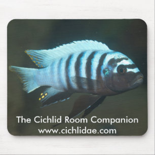 Alfombrilla De Ratón El compañero del sitio del Cichlid - cebra de