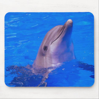 Alfombrilla De Ratón El delfín sonríe Mousepad