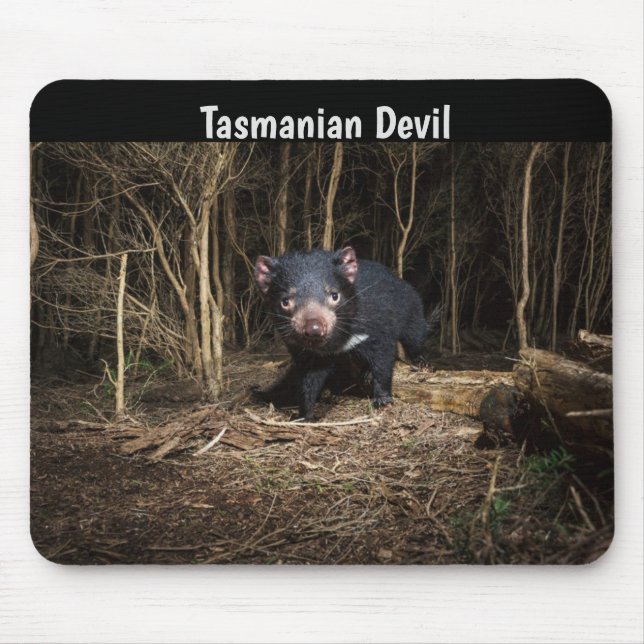 Alfombrilla De Ratón El demonio australiano de Tasmania (Frente)