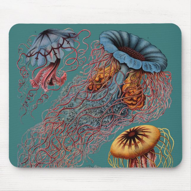 Alfombrilla De Ratón El disco Medusae de Ernst Haeckel (Frente)