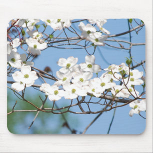 Alfombrilla De Ratón El Dogwood blanco florece el mousepad