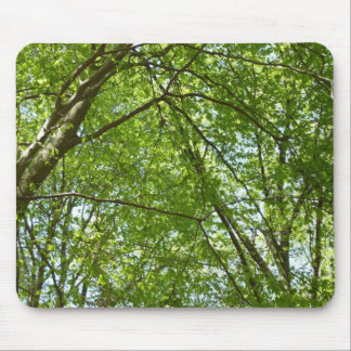 Alfombrilla De Ratón El dosel de la primavera deja la naturaleza verde