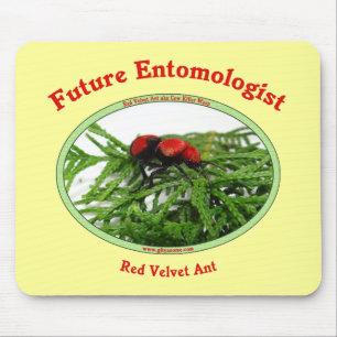Alfombrilla De Ratón El entomólogo futuro ama insectos