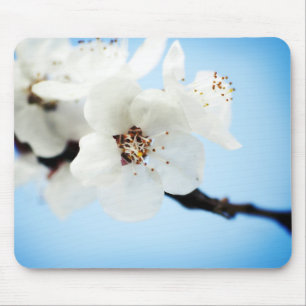Alfombrilla De Ratón El flor se nubla Mousepad