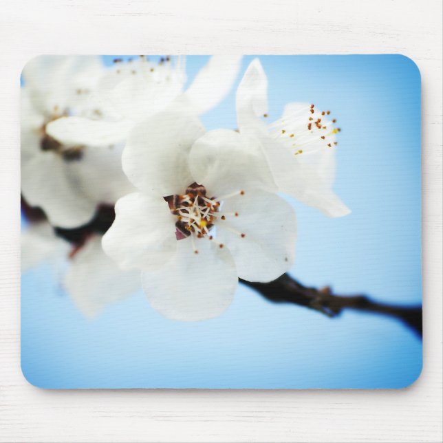 Alfombrilla De Ratón El flor se nubla Mousepad (Frente)