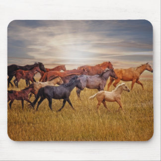 Alfombrilla De Ratón El funcionamiento Mousepad de la luz pasada