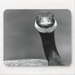 Alfombrilla De Ratón El ganso curioso Mousepad