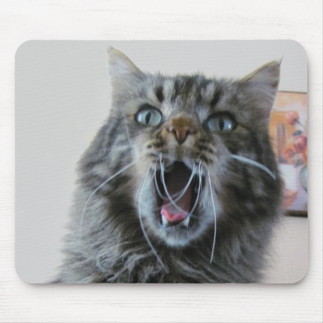 Alfombrilla De Ratón El gatito impactado está impactado (Frente)