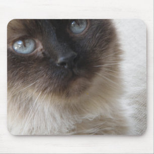 Alfombrilla De Ratón El gatito Mousepad del ojo azul