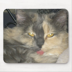 Alfombrilla De Ratón El gato consiguió su lengua