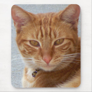Alfombrilla De Ratón El gato es el amante_