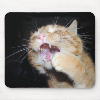 Alfombrilla De Ratón El gato quiere el ratón