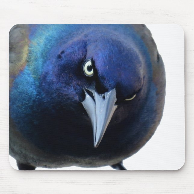 Alfombrilla De Ratón El Grackle enojado (Frente)