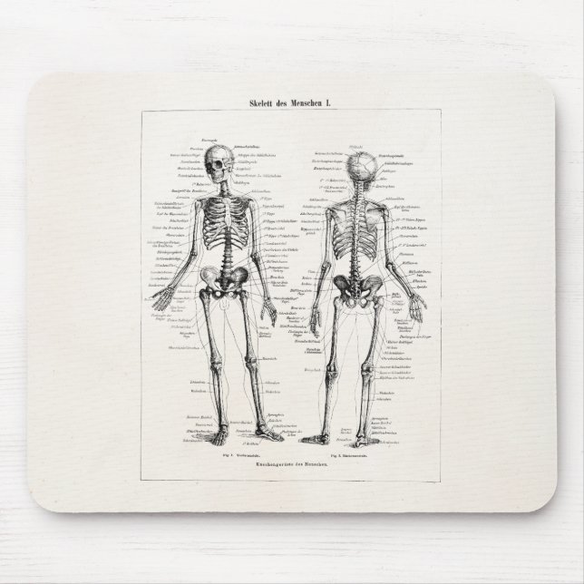 Alfombrilla De Ratón El hueso humano esquelético de la anatomía del (Frente)