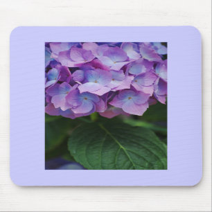 Alfombrilla De Ratón El Hydrangea florece Mousepad