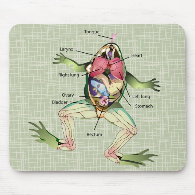 Alfombrilla De Ratón El Ilustracion de anatomía de la rana (Frente)