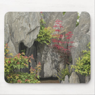 Alfombrilla De Ratón El jardín de la familia Bao, Huangshan, China.