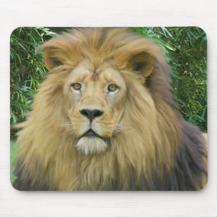Alfombrilla De Ratón El león