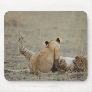 Alfombrilla De Ratón El león (Panthera leo) pare jugar en la hierba,