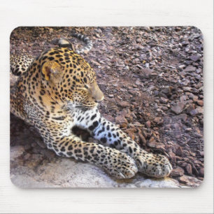 Alfombrilla De Ratón El leopardo en reposo