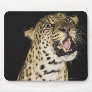 Alfombrilla De Ratón El leopardo rugiendo