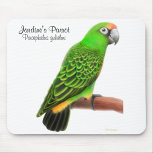 Alfombrilla De Ratón El loro Mousepad de Jardine