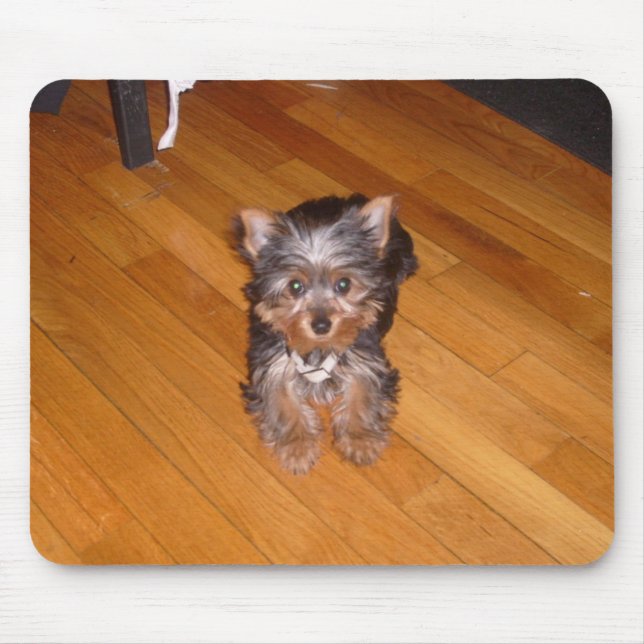 ALFOMBRILLA DE RATÓN EL MUNDO DE KIARA (Frente)