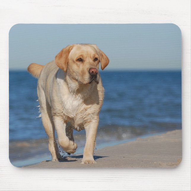 Alfombrilla De Ratón El nuevo labrador amarillo en la playa (Frente)