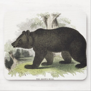 Alfombrilla De Ratón El oso de Brown, pub educativo del ilustracion.