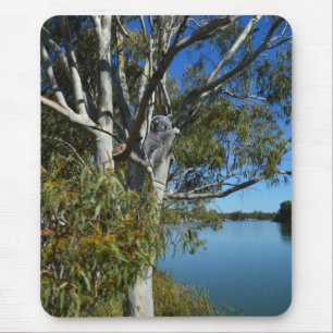 Alfombrilla De Ratón El Oso De Koala Dormía En El Árbol De Goma,