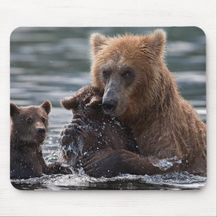 Alfombrilla De Ratón El oso hermoso y sus cachorros