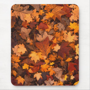 Alfombrilla De Ratón el otoño