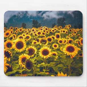 Alfombrilla De Ratón El paisaje del campo del girasol florece en amaril