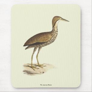 Alfombrilla De Ratón El pájaro Bittern estadounidense (Botaurus lentigi