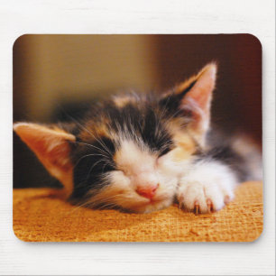 Alfombrilla De Ratón El pequeño dormir del gatito