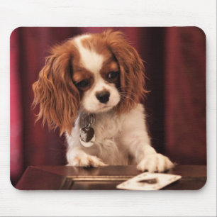 Alfombrilla De Ratón El perrito juega a tarjetas