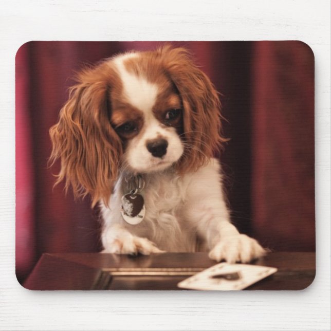 Alfombrilla De Ratón El perrito juega a tarjetas (Frente)