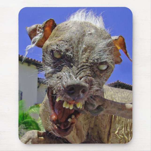 Alfombrilla De Ratón El perro más feo del mundo (Frente)