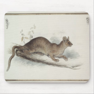 Alfombrilla De Ratón El Polecat, siglo XIX