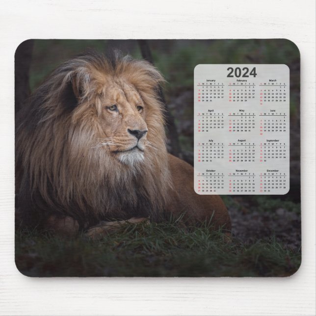 Alfombrilla De Ratón El precioso calendario Katanga Lion 2024 (Frente)