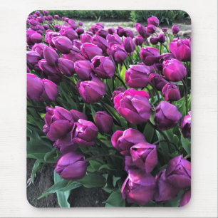 Alfombrilla De Ratón El príncipe morado Tulips