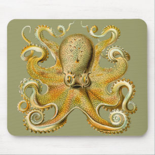 Alfombrilla De Ratón El pulpo de Ernst Haeckel