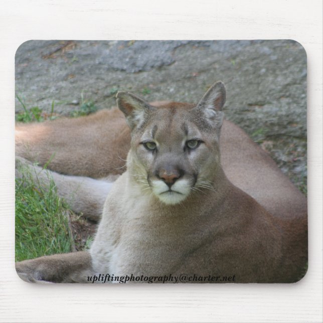 Alfombrilla De Ratón El puma (Frente)