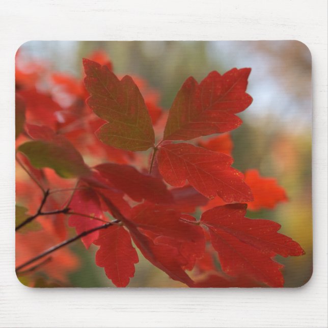 Alfombrilla De Ratón El rojo deja Mousepad (Frente)