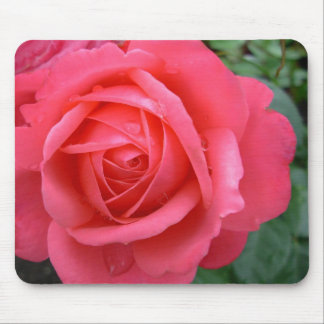 Alfombrilla De Ratón El rosa florece los regalos de la decoración del