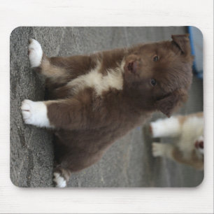 Alfombrilla De Ratón El Sheepdog_islandés_20171202_by_JAMFoto