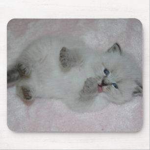 Alfombrilla De Ratón El SibKitten más lindo Mousepad - modificado para