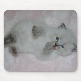 Alfombrilla De Ratón El SibKitten más lindo Mousepad - modificado para