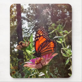 Alfombrilla De Ratón El sol se extiende sobre el monarca en la flor
